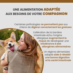 Alimentation adaptée au soutien de la santé gastro-intestinale chez le chien.