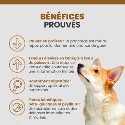 Bénéfices de l'alimentation pour chien souffrant de troubles digestifs.