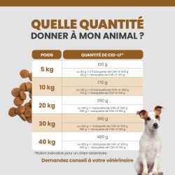 Tableau de rationnement des croquettes pour le chien selon son poids.
