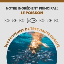 L'ingrédient principale de l'alimentation Specific est le poisson.