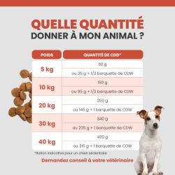 Tableau de rationnement des croquettes pour le chien selon son poids et son alimentation.