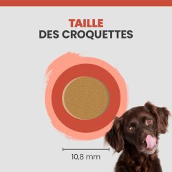 La taille d'une croquette Specific CDD pour chien adulte est de 12mm.