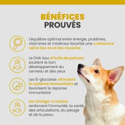 Les bénéfices des terrines Specfic CPW pour chiot.