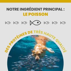 L'ingrédient principale de l'alimentation Specific est le poisson.