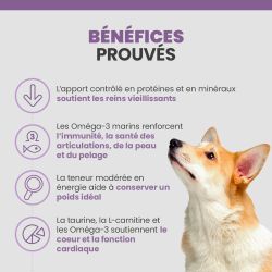 Bénéfices de la croquette Specific CDG-S pour les chiens seniors de petite race.