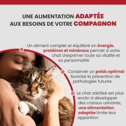 Specific FXW-P adapté au chat adulte.