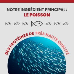 L'ingrédient principale de l'alimentation Specific FXW-P est le poisson.
