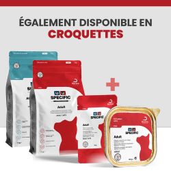 Alimentation humide et croquette chat specific.