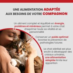 Alimentation adaptée au chat adulte de toute race.