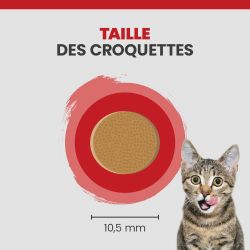 Taille des croquettes chat Specific FXD est de 10.5mm.