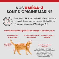 Bénéfices des Oméga-3 sur le corps du chat.