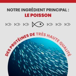 L'ingrédient principale de l'alimentation Specific FXD est le poisson