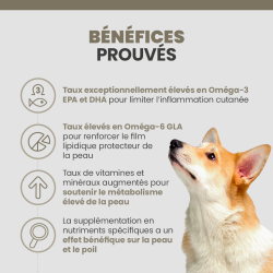 Bénéfices des croquettes Specific COD Skin Function Support pour le traitement des problèmes de peau du chien.
