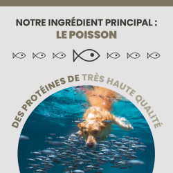 L'ingrédient principal de l'alimentation Specific est le poisson.