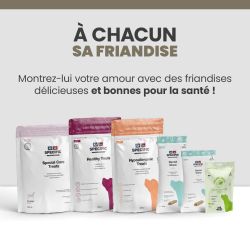 Friandise Specific Dechra pour Chien.