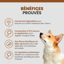 Bénéfices des friandises pour chiens souffrant de problèmes digestifs, et aux chiens en bonne santé.