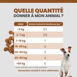Tableau de rationnement des friandises pour le chien selon son poids.