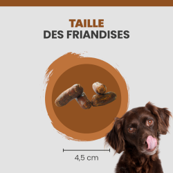 Friandise Specific Dechra pour Chien.