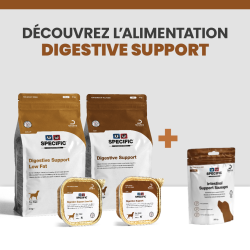 Une alimentation complète avec les croquettes et les terrines pour chiens souffrant de problèmes digestifs.