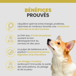 Les bénéfices des croquettes Specfic CPD-S pour chiot de petite race.