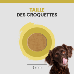 La taille d'une croquette Specific CPD-S est de 8 mm.