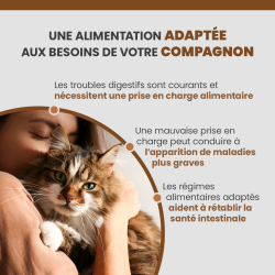 Alimentation Specific FID pour soutien gastro-intestinal et troubles digestifs du chat.