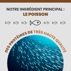 L'ingrédient principale de l'alimentation Specific est le poisson.