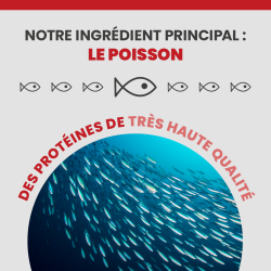 L'ingrédient principal de la terrine Specific FXW est le poisson.