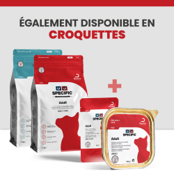 Alimentation humide et croquette Specific pour le chat adulte.