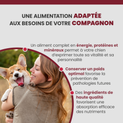 Croquette Specific CXD-XL adaptée au chien de grande race et race géante.