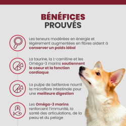 Bénéfice croquettes Specific CXD-XL pour chien adulte de grande race et race géante.