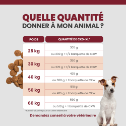 Tableau de rationnement des croquettes Specific CXD-XL pour chien de grande race et race géante.