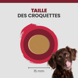 La taille d'une croquette Specific CXD-XL est de 15mm.