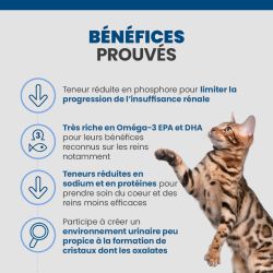 Bénéfices des croquettes Specific FKD pour le chat.