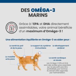 Les bénéfices des acides gras Oméga-3 sur la santé des articulations, du pelage et de la peau du chat.