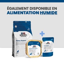 Une alimentation complète avec les croquettes et les terrines pour le chat souffrant d'insuffisance rénale et cardiaque.