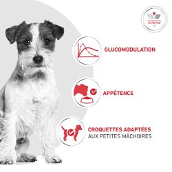Dog Glycobalance Small Dog