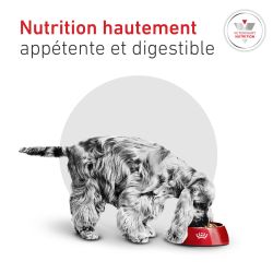 Dog Glycobalance Small Dog
