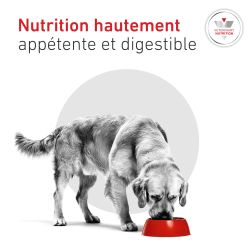 Dog Glycobalance Boîte