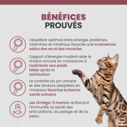 Les bénéfices des croquettes Specific FND sur le chaton stérilisé.