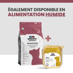 Alimentation humide et sec formulée par Dechra pour les chatons.
