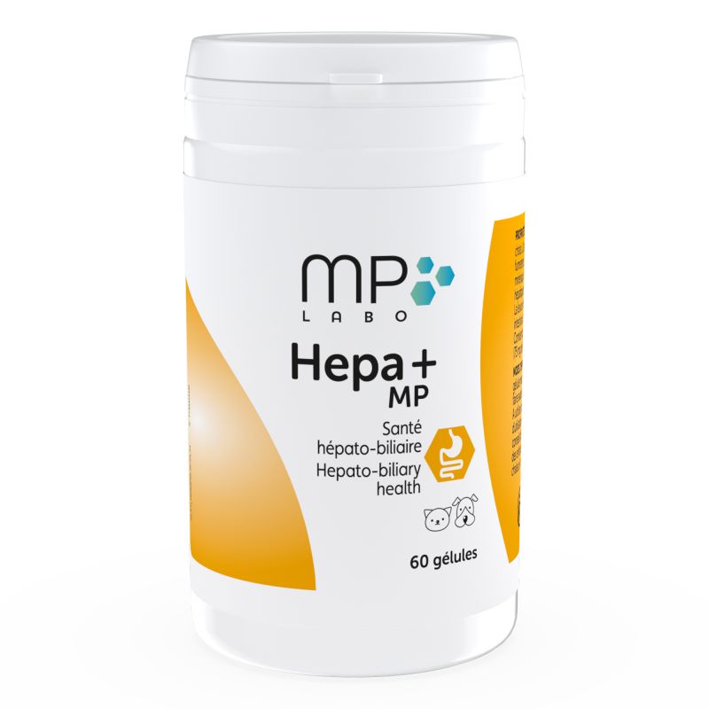 Hepa + MP