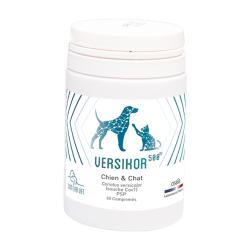 Versikor 500 comprimés