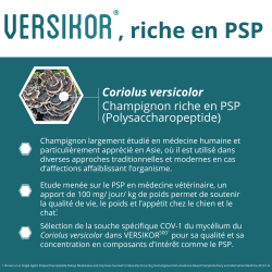 Versikor 500 comprimés