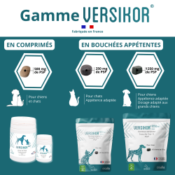 Versikor 500 comprimés