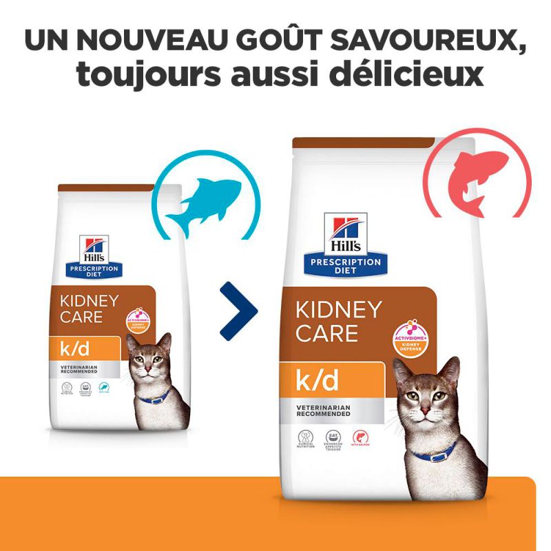 Chat k/d Saumon