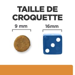 Chat k/d Saumon