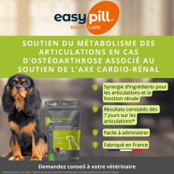 Easypill Cardiflex Chien