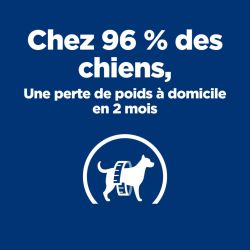 Chien Metabolic Boeuf Boîte