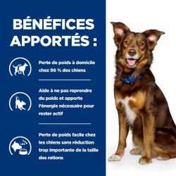 Chien Metabolic Boeuf Boîte